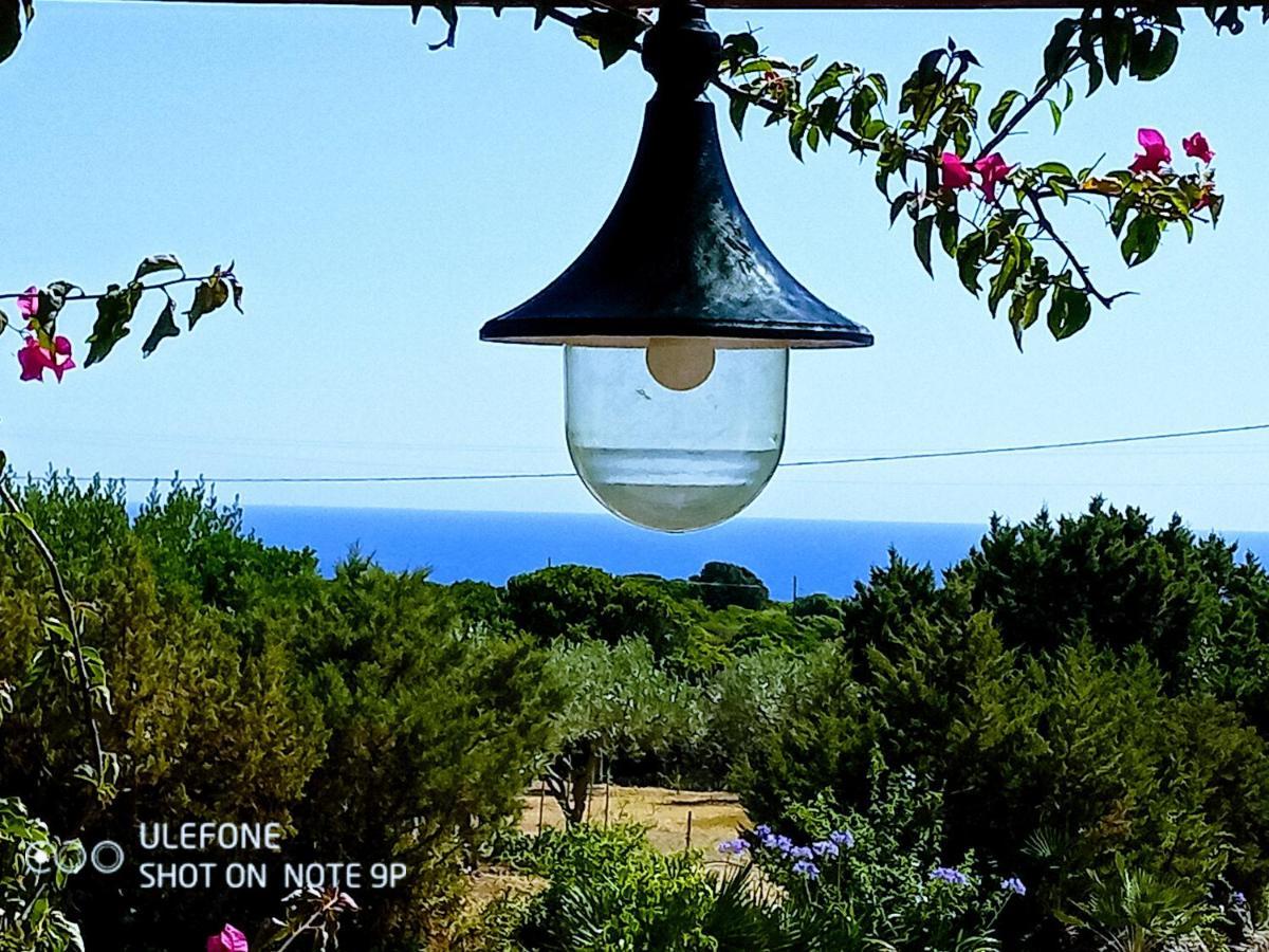Arcamyrtus Guest House Alghero Ngoại thất bức ảnh