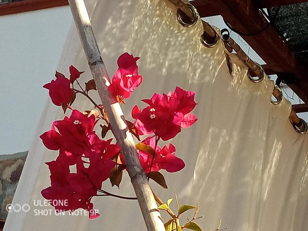 Arcamyrtus Guest House Alghero Ngoại thất bức ảnh