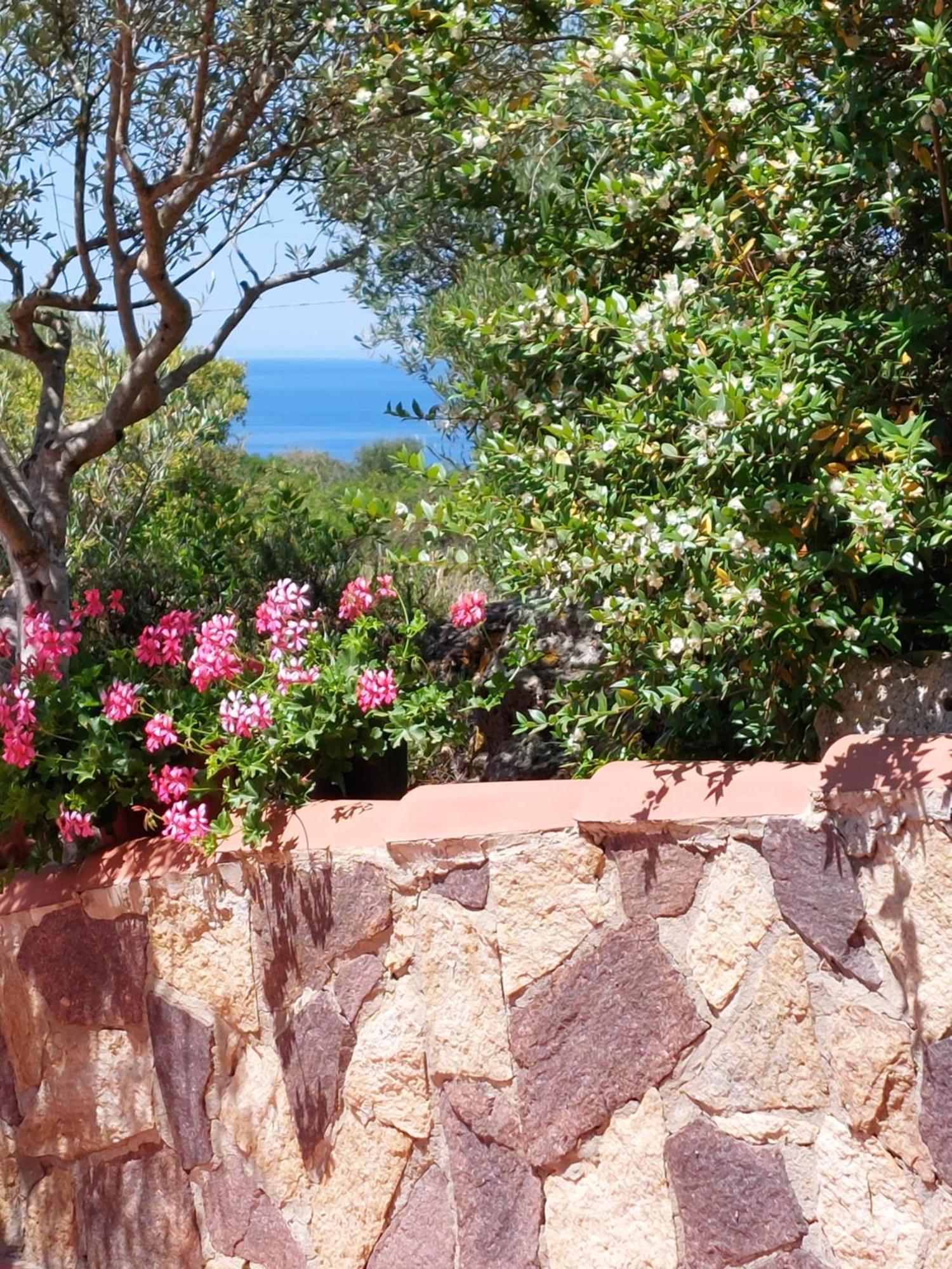 Arcamyrtus Guest House Alghero Ngoại thất bức ảnh